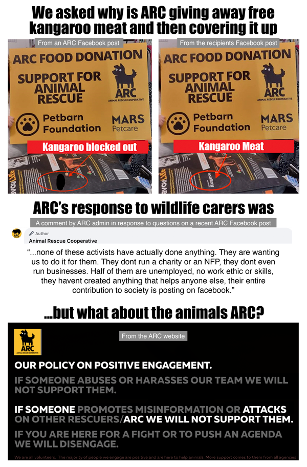 Animal Rescue Cooperative attack kangaroo rescuers and carers