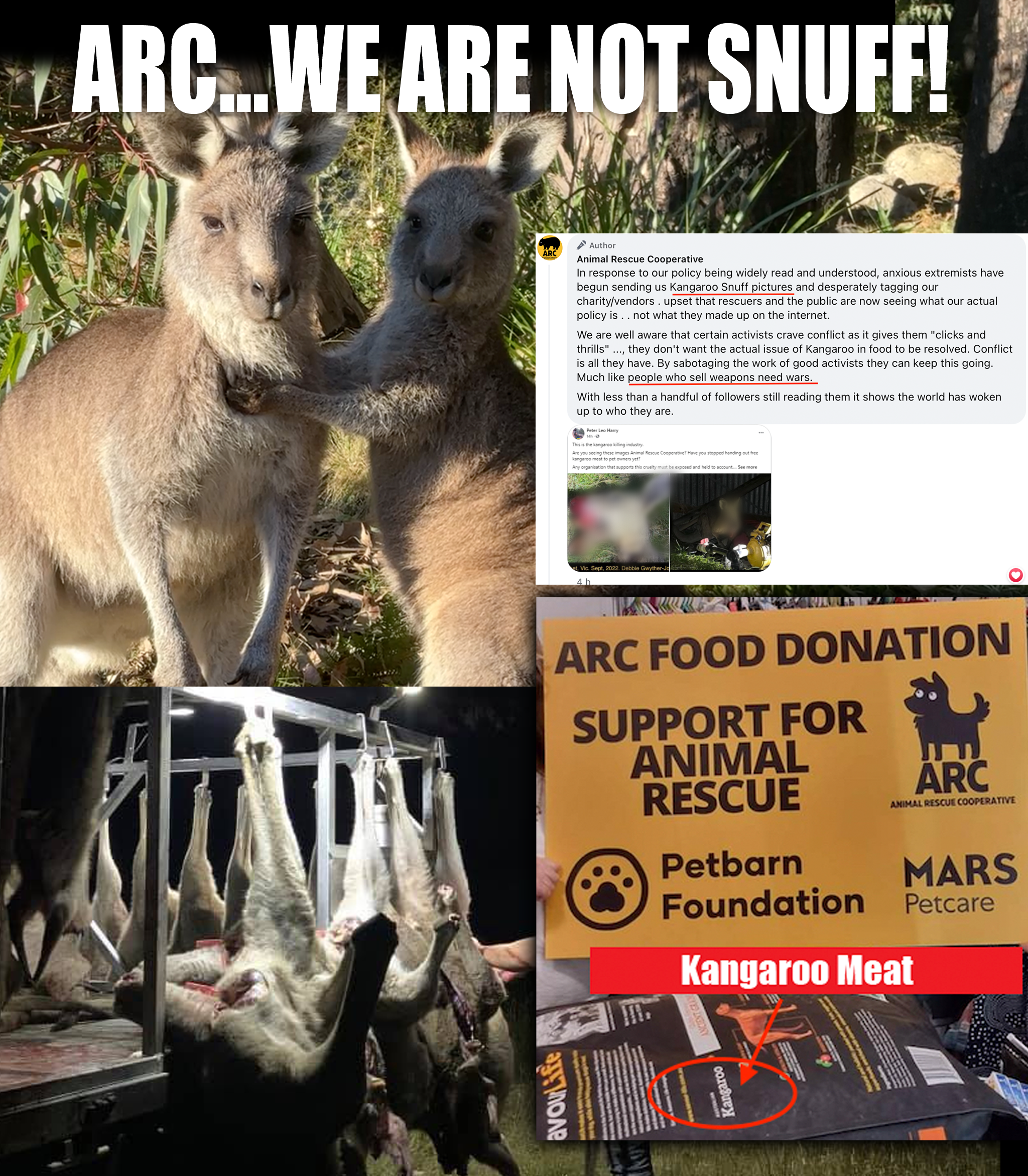 Animal Rescue Cooperative killing kangaroos for meat is not snuff its real and its cruel