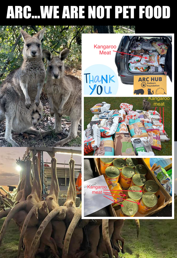 A wildlife carer and writer has written about Animal Rescue Cooperative ARC
